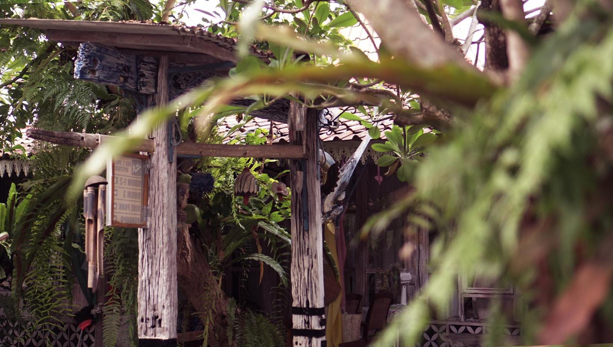 Budarno Homestay Kejayan Buitenkant foto